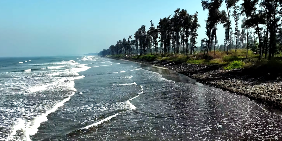 Neoliv Alibaug Banner